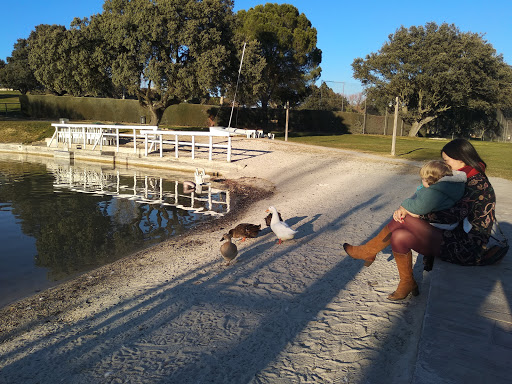 El Lago De Boadilla