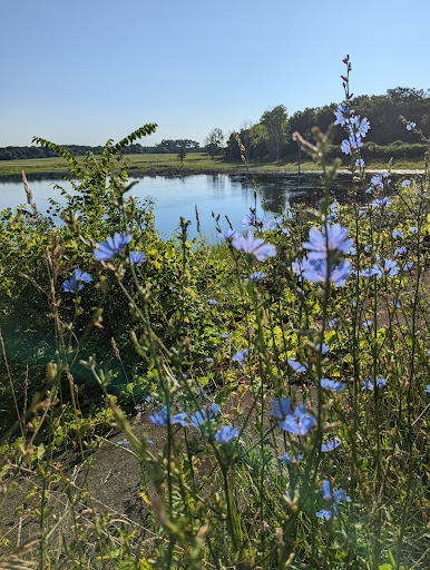 Nature Preserve «Shoe Factory Road Prairie Nature Preserve», reviews and photos, Shoe Factory Rd, Hoffman Estates, IL 60192, USA