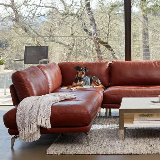 Furniture Store «Scandinavian Designs», reviews and photos, 1212 4th St, San Rafael, CA 94901, USA