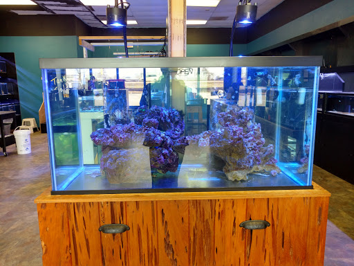 Tropical Fish Store «Aquatic Treasures», reviews and photos, 2533-A Vandalia St, Collinsville, IL 62234, USA