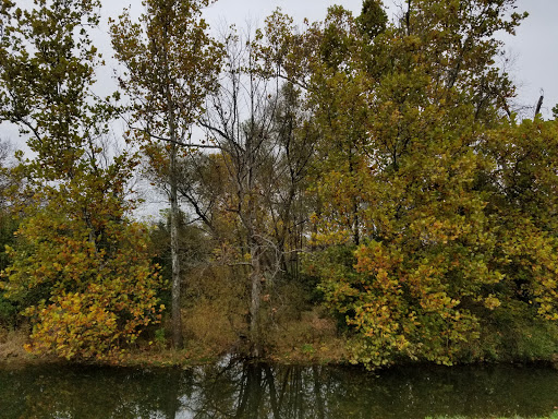 Public Golf Course «Cherry Blossom Golf Club», reviews and photos, 150 Clubhouse Dr, Georgetown, KY 40324, USA