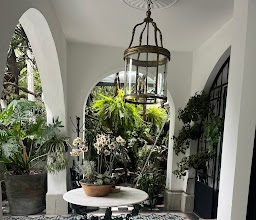 Orchid House Polanco photo