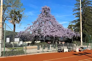 Associazione Tennis Campobasso image