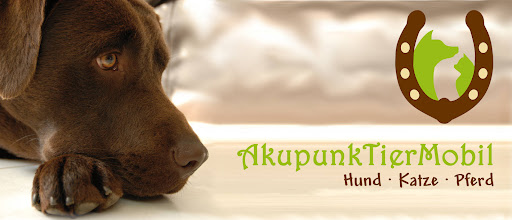 AkupunkTierMobil® - Stefanie Miersch, ehem. Edenharter unter Perleberg, Brandenburg