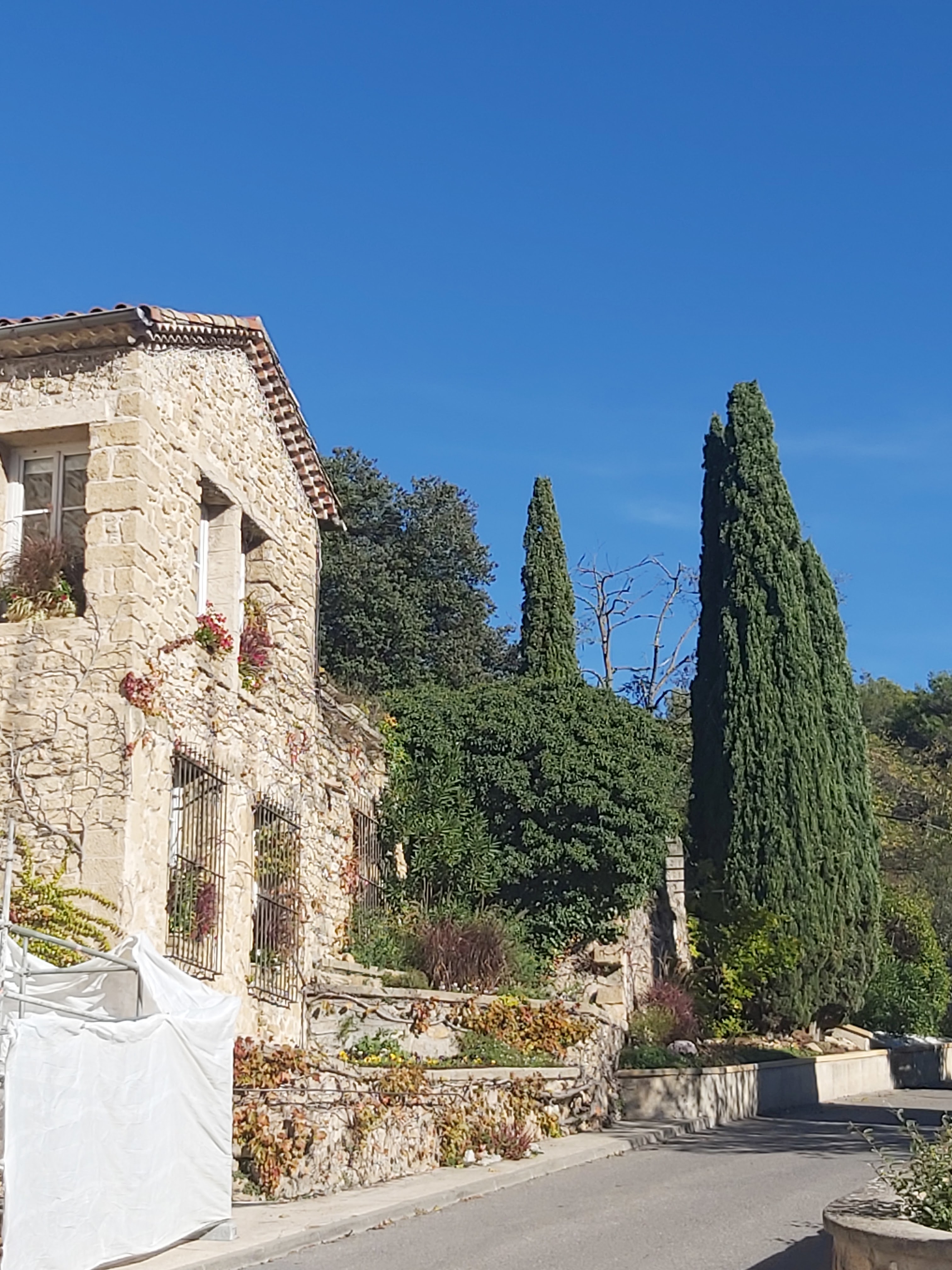 Photo n° 3 de l'avis de Catherine.A fait le 06/11/2022 à 15:57