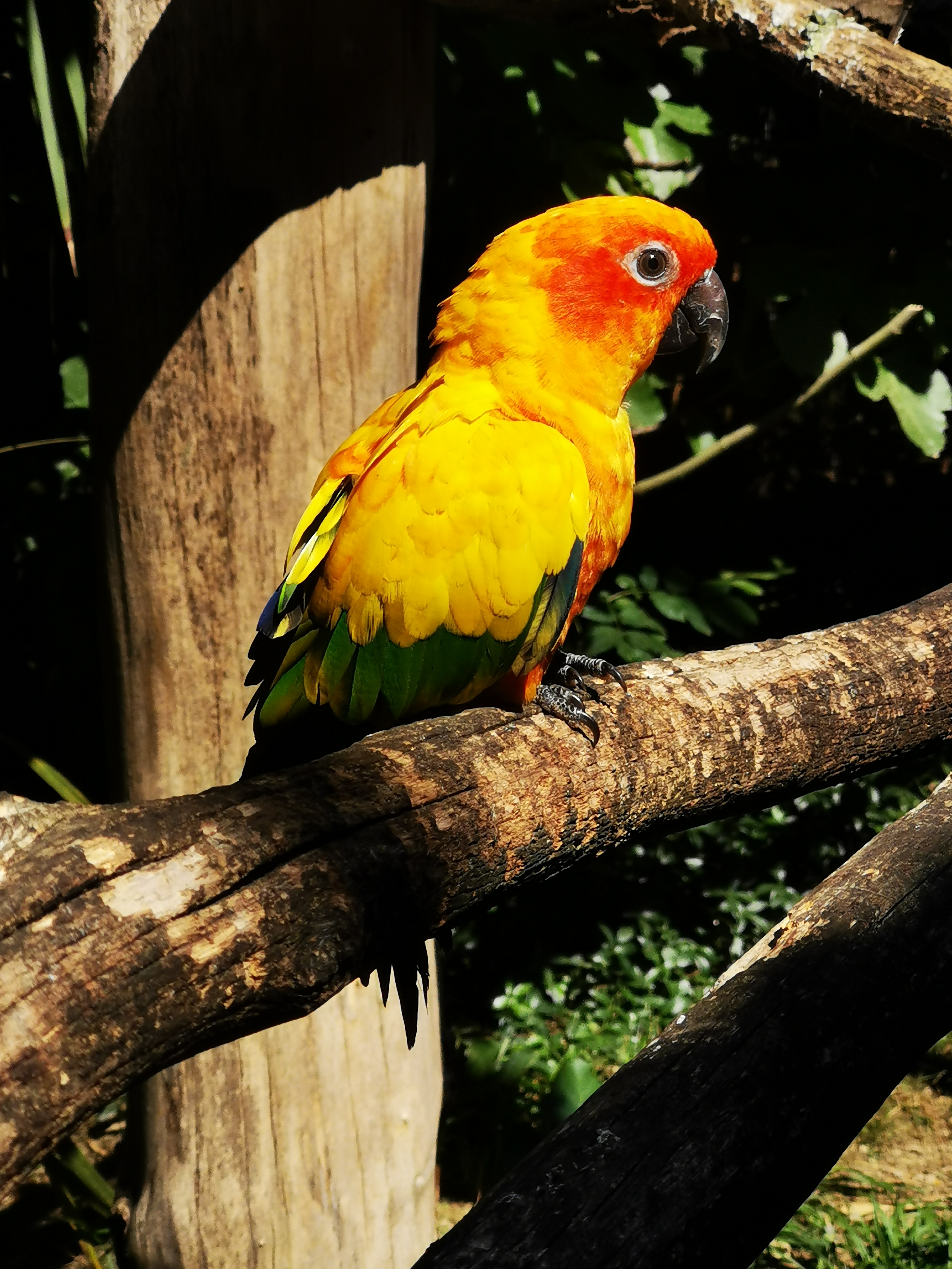 Photo n° 5 de l'avis de Aude.i fait le 29/08/2023 à 21:35