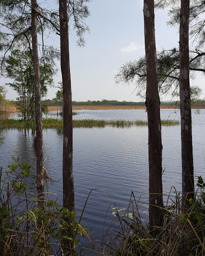 Nature Preserve «Grassy Waters Preserve», reviews and photos, 8264 Northlake Blvd, West Palm Beach, FL 33412, USA