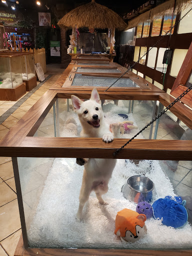 Pet Store «Pet Kingdom», reviews and photos, 4650 S Cleveland Ave, Fort Myers, FL 33907, USA