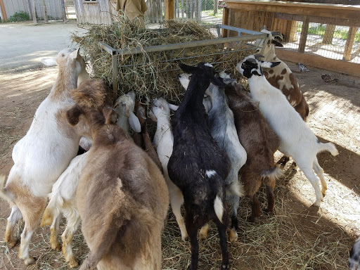Zoo «Special Memories Zoo», reviews and photos, W7013 Spring Rd, Greenville, WI 54942, USA