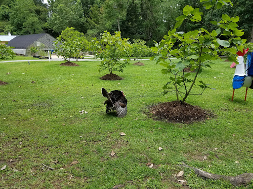 Caterer «White Oak Plantation», reviews and photos, 17660 George Oneal Rd, Baton Rouge, LA 70817, USA