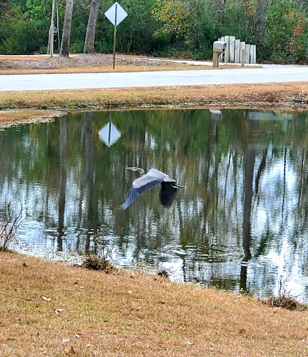 Country Club «Olde Point Golf & Country Club», reviews and photos, 513 Country Club Dr, Hampstead, NC 28443, USA