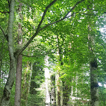 Photo n°3 de l'avis de Bernd.c fait le 13/06/2018 à 08:30 sur le  Restaurant Freibergsee à Oberstdorf