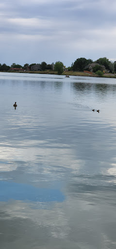 Park «Lake Arbor Park», reviews and photos, 6450 Pomona Dr, Arvada, CO 80003, USA