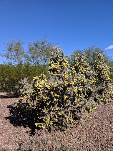 Museum «Musical Instrument Museum», reviews and photos, 4725 E Mayo Blvd, Phoenix, AZ 85050, USA