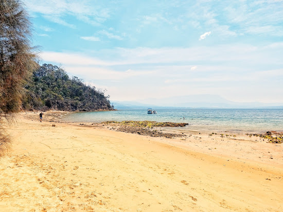 Legacy Beach