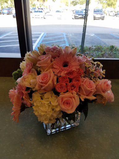 Florist «Ideal Orchids», reviews and photos, 2900 W Sample Rd, Pompano Beach, FL 33073, USA