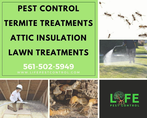 Pest Control Service «Life Pest Control», reviews and photos