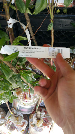 Grocery Store «Rays Food Place», reviews and photos, 875 Redwood Dr, Garberville, CA 95542, USA