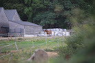Le Centre Equestre du Manoir Les Loges-Marchis