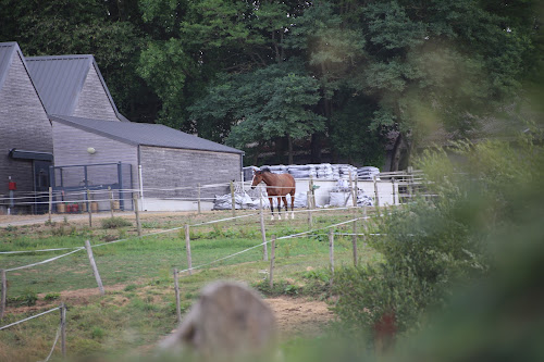 Le Centre Equestre du Manoir à Les Loges-Marchis