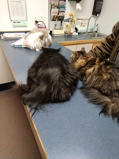 Heart River Animal Hospital image