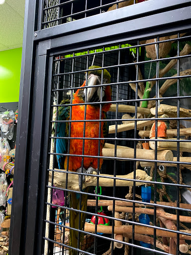 Pet Store «Belmont Pet Shop», reviews and photos, 17 Flett Rd, Belmont, MA 02478, USA
