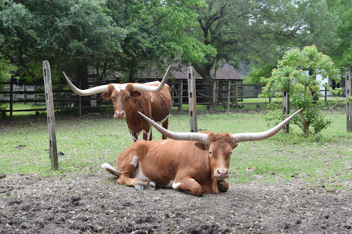 Museum «Burden Museum & Gardens», reviews and photos, 4560 Essen Ln, Baton Rouge, LA 70809, USA