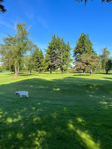 Golf Course «Frontier Golf Course», reviews and photos, 2965 N Holly St, Canby, OR 97013, USA