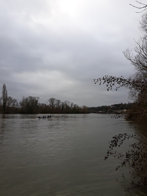 SCI DES BORDS DE SEINE D'EVRY à Corbeil-Essonnes