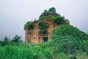 Tomb of Timur Shah Bahadur image