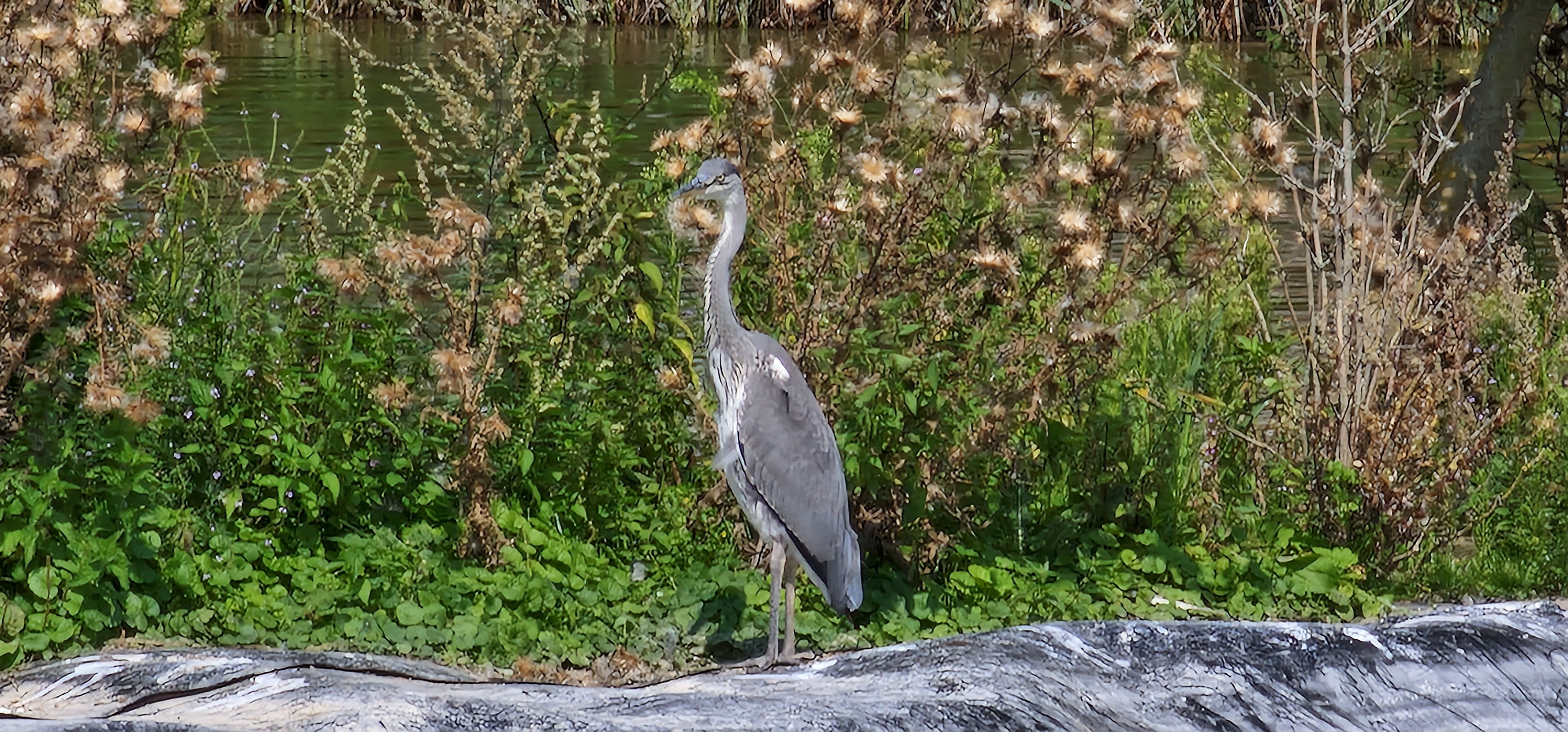 Photo n° 2 de l'avis de Dominique.A fait le 26/04/2019 à 16:27