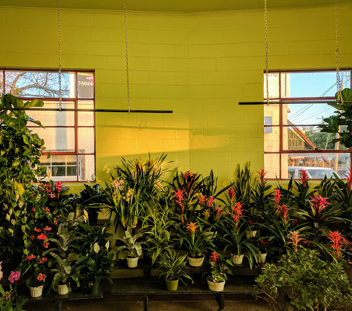 Florist «Austin Flower Co», reviews and photos, 1612 W 35th St, Austin, TX 78703, USA