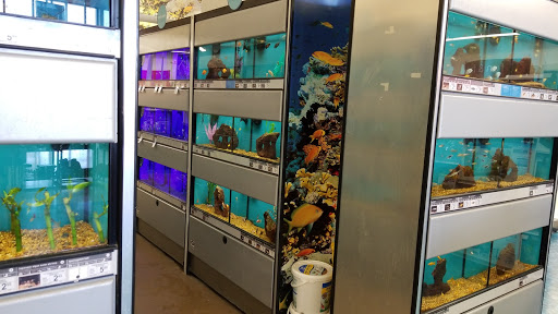 Pet Supply Store «Petco Animal Supplies», reviews and photos, 5843 N Elizabeth St, Pueblo, CO 81008, USA