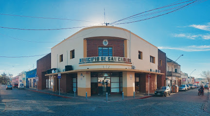Municipio de San Carlos