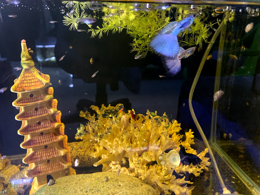 Top 20 cửa hàng chén đĩa Huyện Hóc Môn Hồ Chí Minh 2022