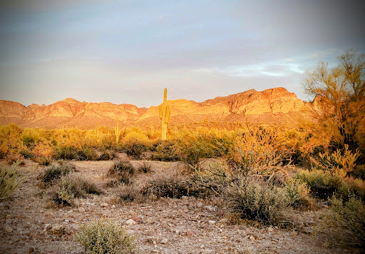 North Gate to Bulldog Canyon OHV Area