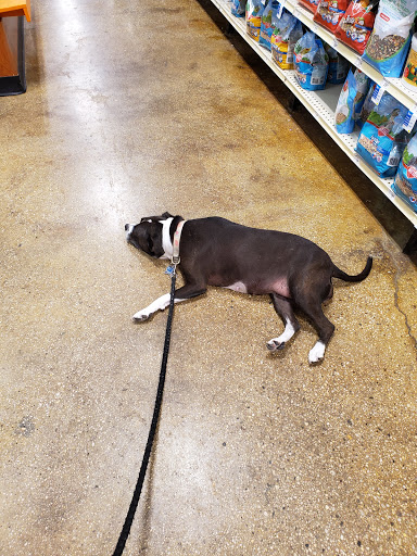 Pet Supply Store «PetSmart», reviews and photos, 1600 Marcus Ave, New Hyde Park, NY 11040, USA