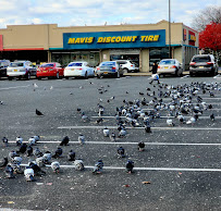 Mavis Discount Tire - Photo 9 - Car repair in Staten Island, NY, Staten Island