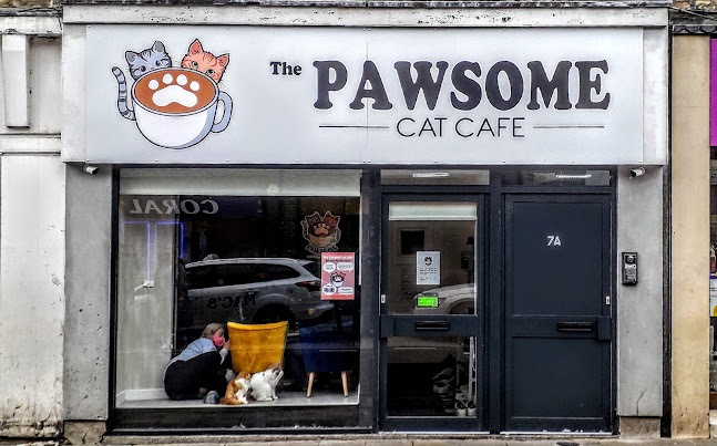 The Pawsome Cat Cafe