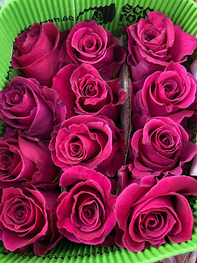 Florist «Berkeley Florist Supply Co Inc», reviews and photos, 2360 NW 23rd St, Miami, FL 33142, USA