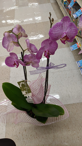 Albertsons image