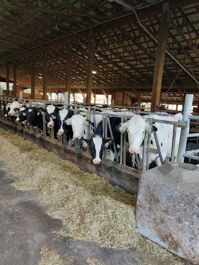 UBC Research Dairy