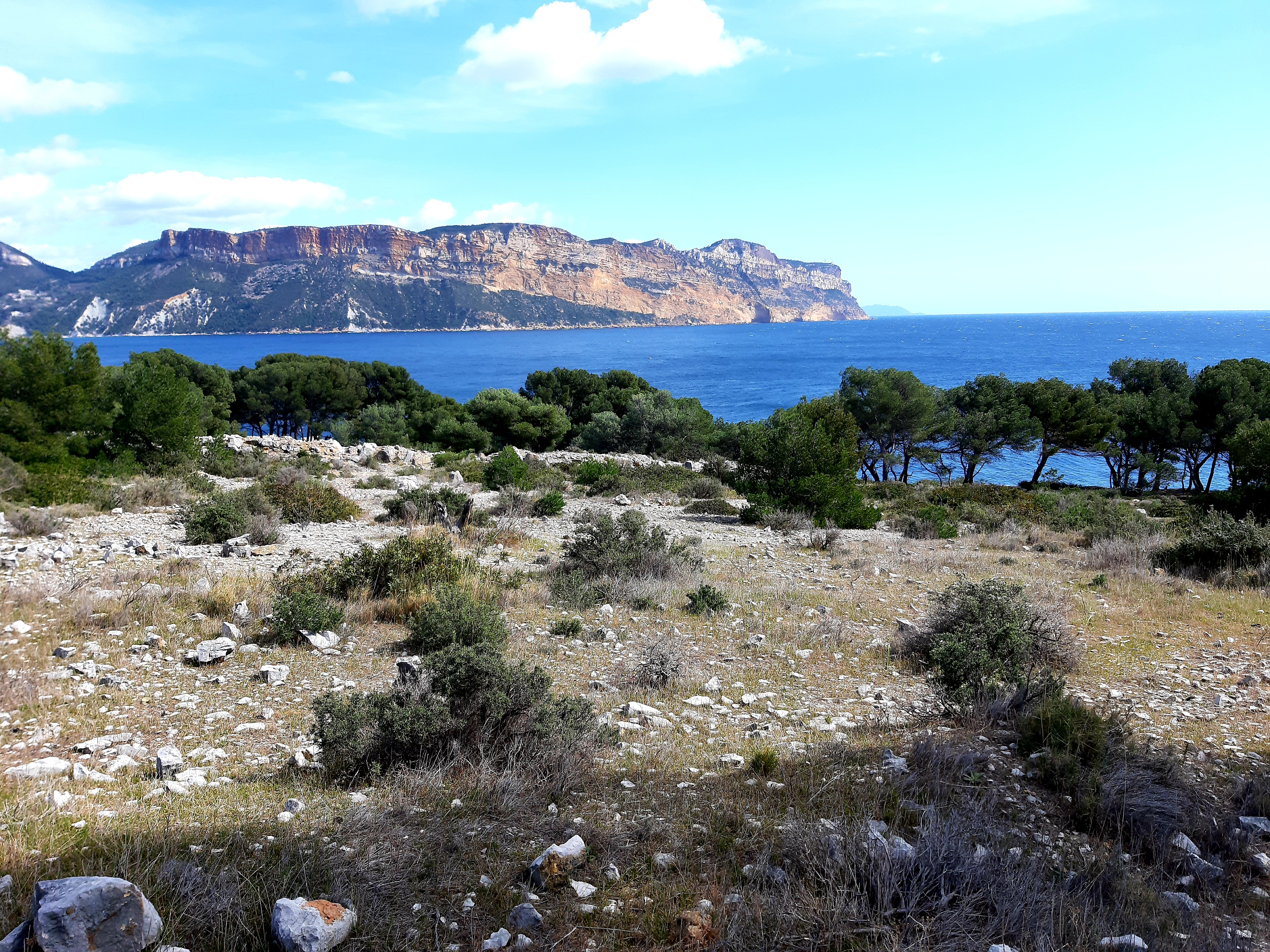 Photo n° 30 de l'avis de Islas.a fait le 27/03/2021 à 17:41