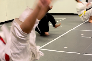OSA Martial Arts- Taekwondo Judo/Jiu-Jitsu Women Classes Hapkido B4 & After-School image