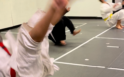 OSA Martial Arts- Taekwondo Judo/Jiu-Jitsu Women Classes Hapkido B4 & After-School image