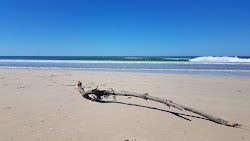 Photo de Plage du Treuil avec rivage droit, long