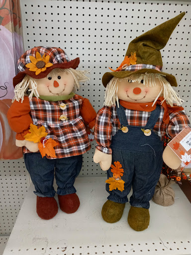 Discount Store «Big Lots», reviews and photos, 35603 S Gratiot Ave, Charter Twp of Clinton, MI 48035, USA