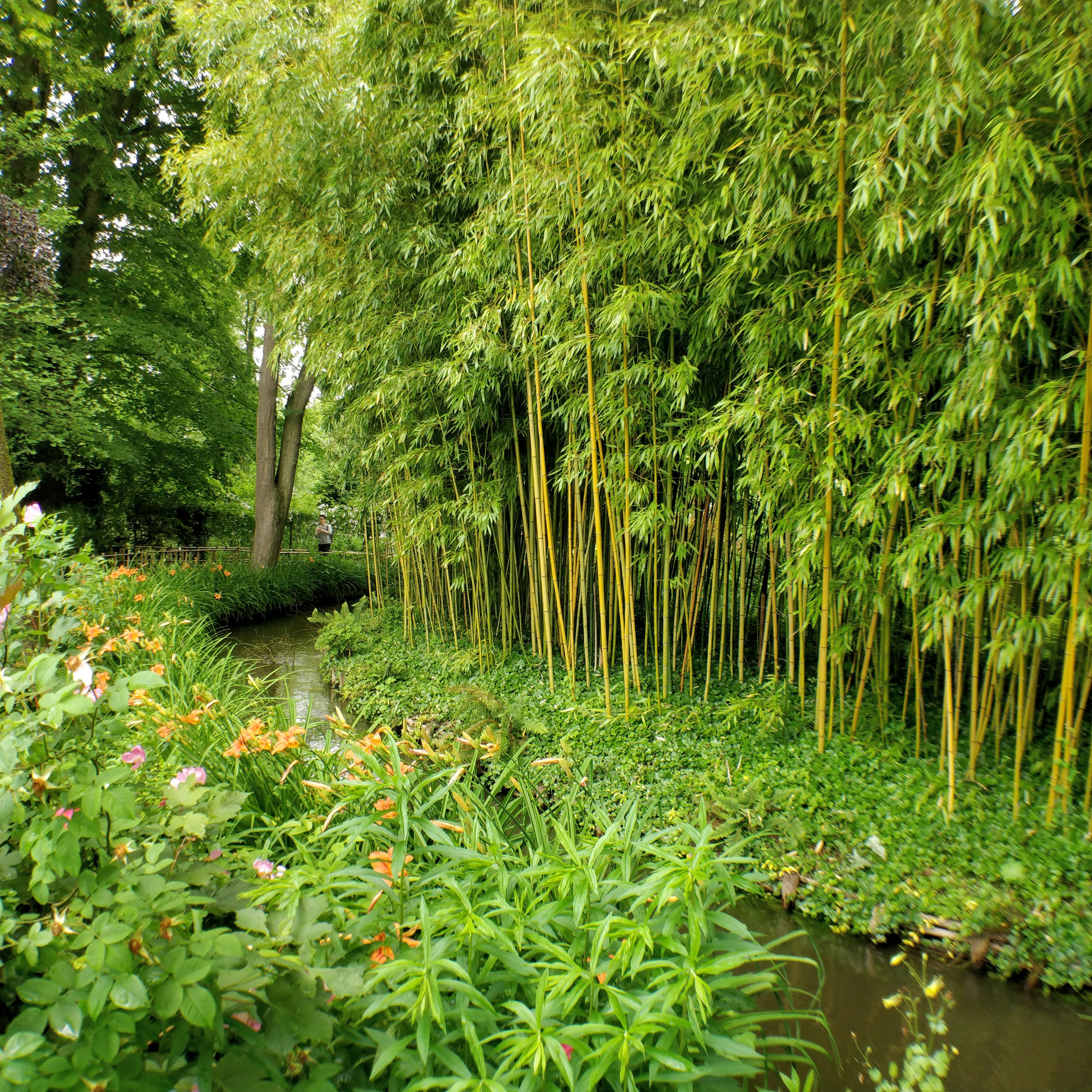 Photo n° 4 de l'avis de Arno.o fait le 16/08/2019 à 09:25