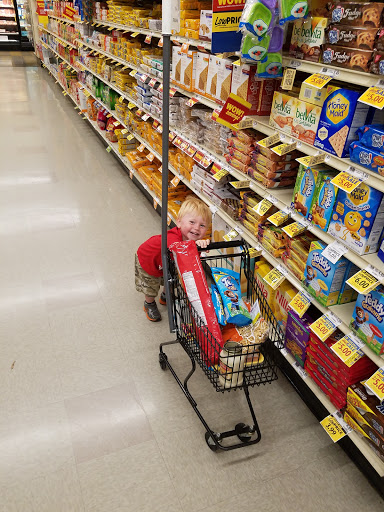 Grocery Store «Food Lion», reviews and photos, 5210 George Washington Memorial Hwy, Grafton, VA 23692, USA