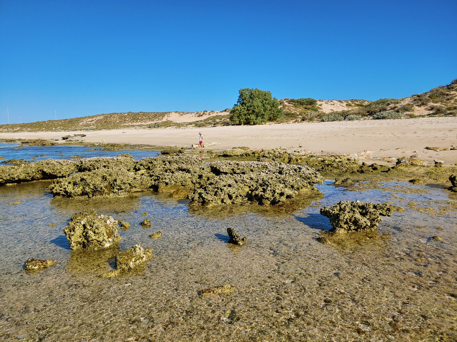 Dunes Beach photo #7